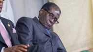 Sabon Labari da dumi-duminsa: Ta Mugabe ta kare!