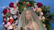 Beyonce pregnant with twins: first photos!