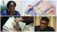 Nigerians beware: 20% of money in circulation is fake – Mailafia, Ex-deputy CBN governor cries out