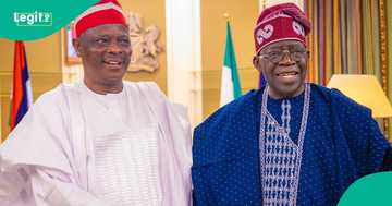 2027: New twist as claims emerge that Kwankwaso is indirectly working for Tinubu