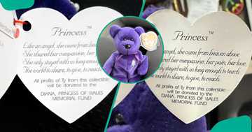 How much is a Princess Diana Beanie Baby worth? Here is how to tell