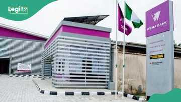 Apply: Wema Bank announces 2026 job opportunities, no experience needed