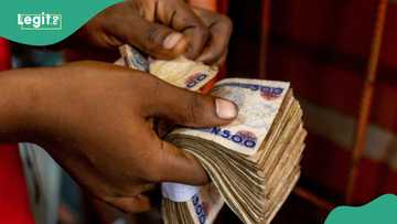 New exchange rate emerges as naira no longer among Africa’s 10 worst currencies