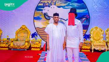 WikkiTimes introduces Anas Aremeyaw Anas AI accountability fellowship