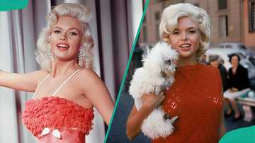 Playboy Playmates: 45 most famous models who appeared in the magazine