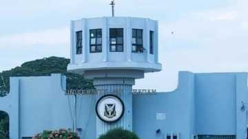 University of Ibadan nursing student shares experience as students' rep member