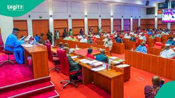 Senate schedules establishment of state police for this week