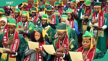 Top 50 best universities in Nigeria as of 2026: NUC university ranking ...