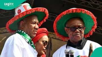 I joined Peter Obi’s 2023 ticket out of sympathy, says Baba-Ahmed