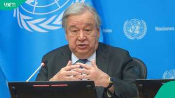 FG calls for applications to UN humanitarian leadership roles