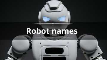 150+ cool robot names you could use for your machine - Legit.ng