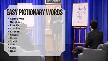 490+ Pictionary ideas: easy, medium and hard ideas for every category ...
