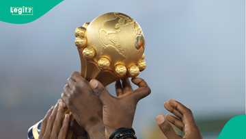 AFCON: Cat predicts Nigeria vs Morocco semi-final match winner, clip trends