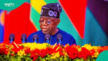Breaking: Tinubu Makes 41 Board Appointments, 3 Others, Full List ...