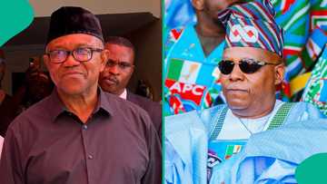Zaben 2027: Kashim Shettima Ya Dura kan Peter Obi, Ya Yi Masa Wankin ...