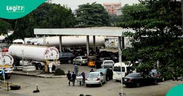 "That is how the market works": Petrol price could increase by another N200