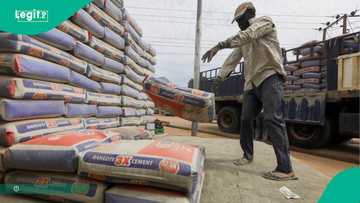 New cement prices emerge as Dangote declares juicy profit for 2025