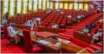 Godiya Akwashiki: Facts about serving Nigerian senator who died at 52