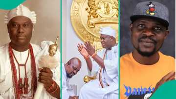 Twist as Ooni's palace breaks silence on Baba Ijesha's chieftaincy claim