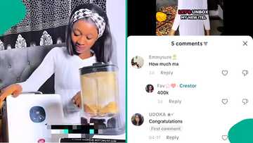 Lady buys solar generator instead of wig, powers freezer and blender with it