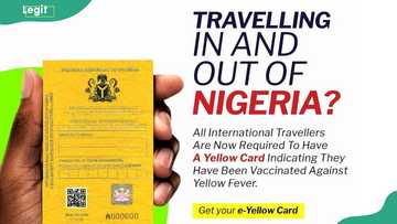 Yellow Card Nigeria: all you need to know about your Yellow Fever ...