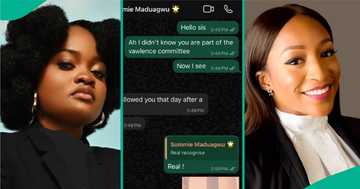 Arise TV Reporter Somtochukwu's Chat with Activist Surfaces Online ...
