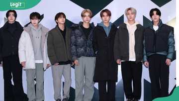 ENHYPEN members' age and profile: who are the boy band members? - Legit.ng