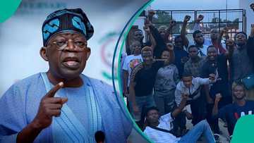 “Stay in Nigeria”: Tinubu tells to Nigerian youths
