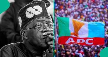 Just in: Tinubu announce strategy to stop implosion of APC ahead of 2027