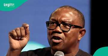 Yahoo Yahoo: Peter Obi links student fraud to system failure