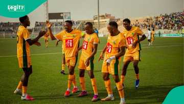 Nigerian businessman worth N17 trillion breaks silence on Kano Pillars rumours