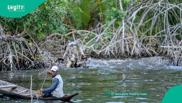 Family recounts rescue attempt as cousins drown in Oyo River