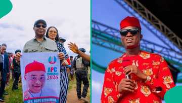 Nwifuru: Some APC governors connived to remove Uzodimma