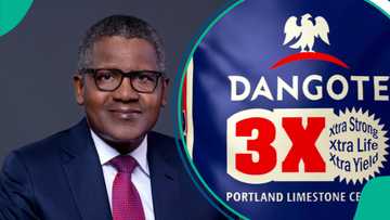 New cement prices emerge as Dangote declares juicy profit for 2025