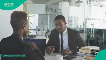 Apply: Wema Bank announces 2026 job opportunities, no experience needed