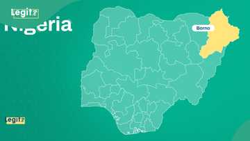 Nigerian troops discover mass graves, neutralise terrorists in Borno