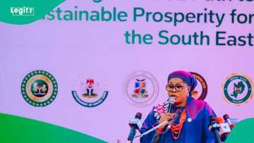 SEV2050: Lady Dozzy makes strong case for Igbo manufacturers