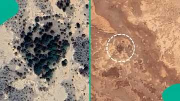 Data analyst posts alleged satellite images of ISIS camp hit by US airstrikes