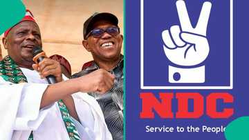"I’d be happy to serve as Obi’s running mate" - Kwankwaso declares