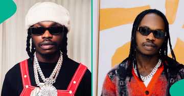 Naira Marley reacts to Kwam 1&rsquo;s daughter&rsquo;s APC victory