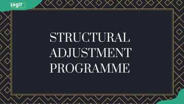 Structural Adjustment Programme in Nigeria: objectives, effects, and ...