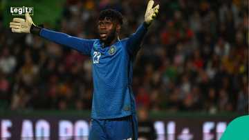 Eric Chelle replaces Nwabali with new goalkeeper ahead of Nigeria clash vs Egypt