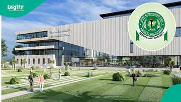 Wigwe University offers scholarships for JAMB candidates in 2025/2026 session