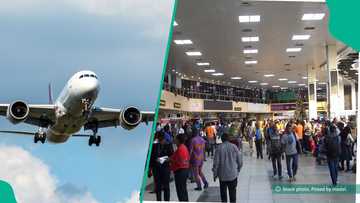 From N350k to N150k: Relief for travellers as 6 airlines offer lower airfares