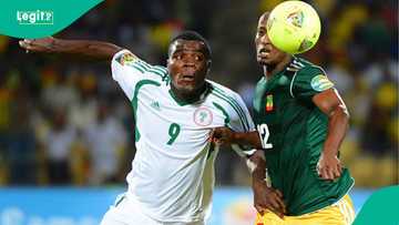 Former Super Eagles star says Eric Chelle could cost Nigeria AFCON title