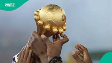 AFCON: 4 people predict outcome of Nigeria vs Algeria match, mention scores