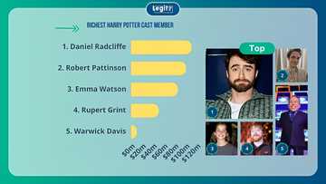 Who is the richest Harry Potter cast member? Their net worth then and now