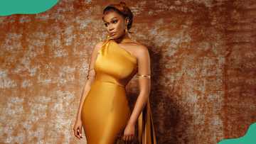 Who is Femi Adelana? A Look at Tana Adelana’s Husband Beyond the Spotlight