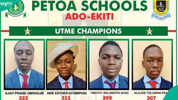 2026 UTME: Ekiti school celebrates its highest scorer, displays brilliant result