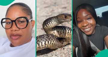 Lady asks important question after death of Ifunanya who was bitten by snake